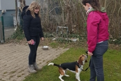 WhatsApp-Image-2022-03-20-at-09.43.17