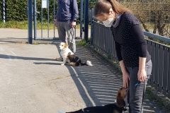 WhatsApp-Image-2022-03-26-at-13.42.09