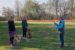 WhatsApp-Image-2022-03-26-at-14.01.33