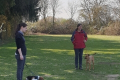 WhatsApp-Image-2022-03-26-at-14.01.331