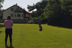 f82f586a-5a6a-4307-b33b-37072393f0f8