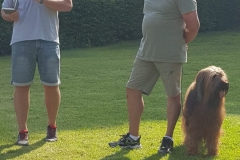 ffcc6588-0337-46bd-baac-86bc7ca35767