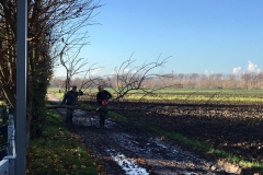 received_2566849753352821