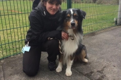 Obedience Turnier 2019