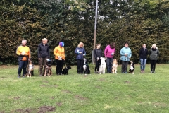 22426293_1493991377333374_6124146068906073824_o