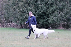 29133761_1640141439385033_2676620290267545600_n