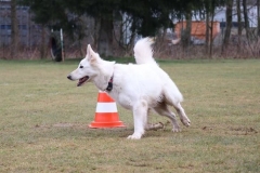 29177403_1640141742718336_5451320548195827712_n