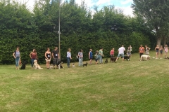 19442137_1400349590030887_5786455026942496511_o