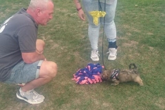 72151880_2455021031230399_7446375772501049344_n