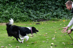 VdH-Schnellster-Hund-2024-final-002