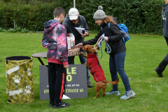 VdH-Schnellster-Hund-2024-final-010