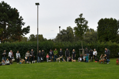 VdH-Schnellster-Hund-2024-final-011