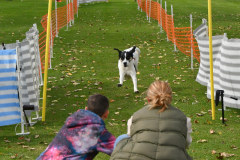 VdH-Schnellster-Hund-2024-final-019