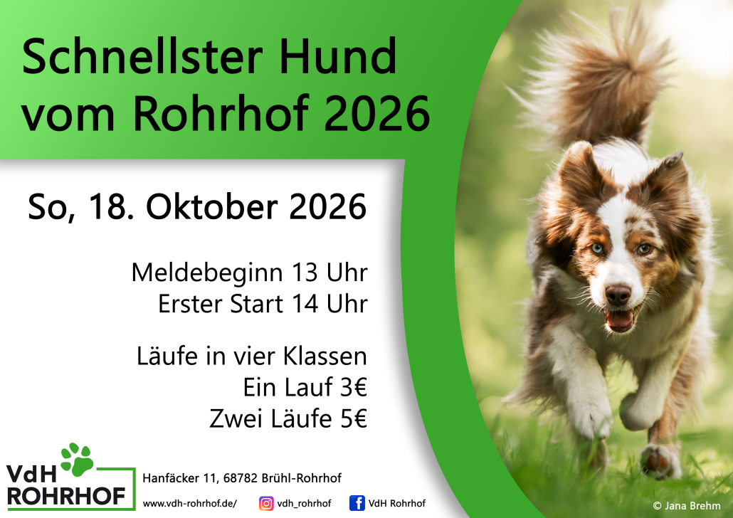 SchnellsterHdPlakat_quer